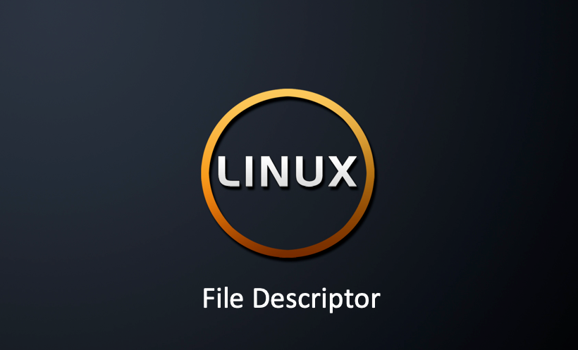 Linux — File Descriptor | by Tony | Medium