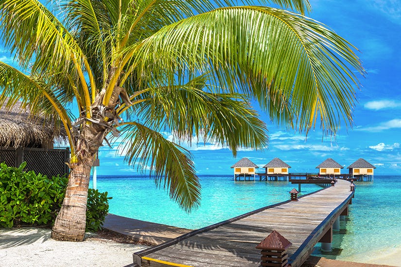 The Maledives. The Maldives is a tropical paradise…, by Golner