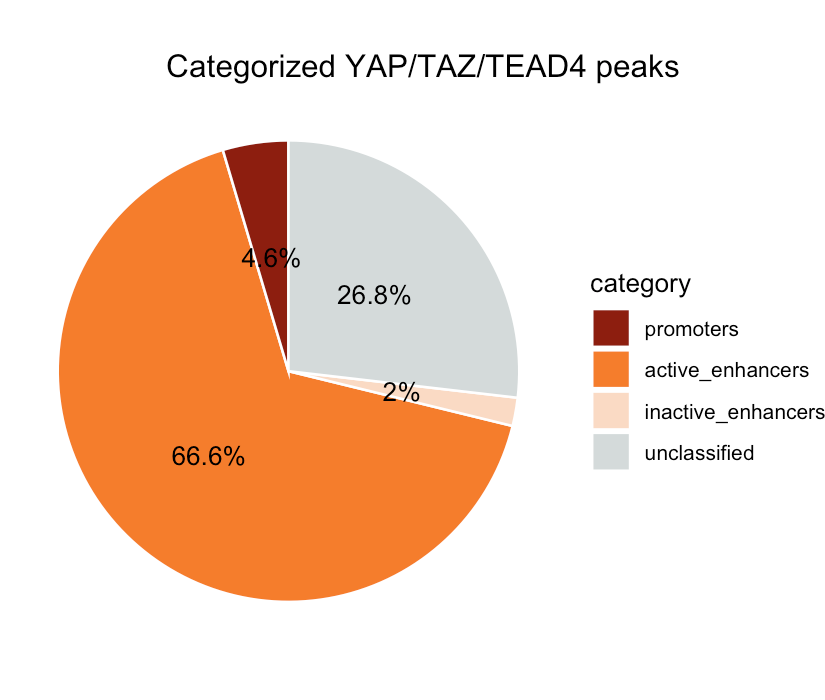 The left side figure is a stacked bar chart that shows absolute distance of YAP, TAZ, TEAD4 and overlapping YAP/TAZ/TEAD4 peaks to the nearest Transcription Start Site (TSS). A majority of the peaks lie between 1 kb to 100 kb from the TSS. This suggests that the majority of YAP, TAZ, and TEAD4 regulatory interactions likely occur in regions farther from the TSS, possibly within enhancer regions or other distal regulatory elements rather than immediately adjacent to the gene promoters. The right figure is a pie chart that shows the fraction of YAP/TAZ/TEAD peaks associated with each category. Majority of the YAP/TAZ/TEAD peaks are associated with active enhancers, supporting the analysis from left figures.