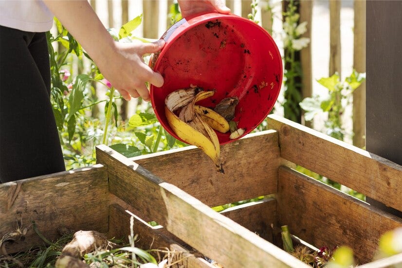 Can You Put Banana Peels In The Compost? GreenEveryGarden Medium