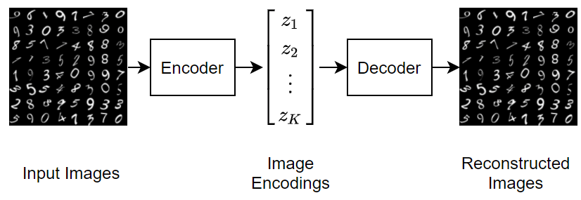 Diving Deep into Variational AutoEncoders (VAEs) | by Shounak Desai ...