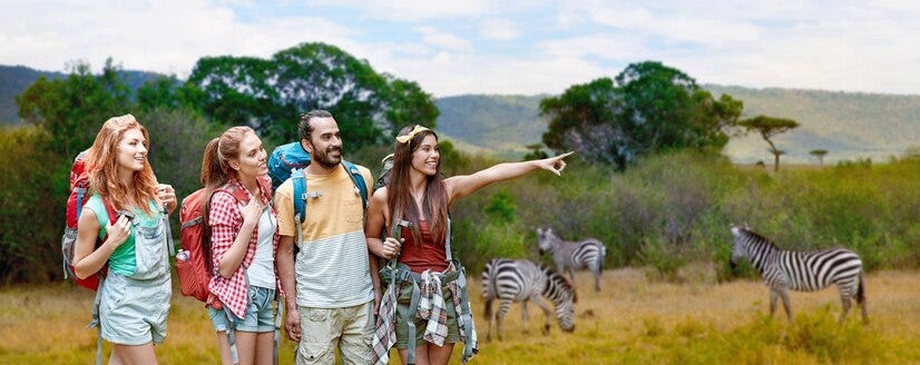 Navigating the Wild: A Comprehensive Guide to Jim Corbett Safari 