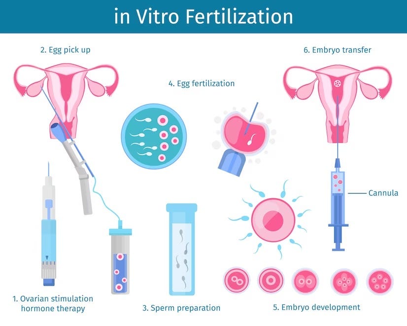 In Vitro Fertilization (IVF) Explained | by Yaamifertilityandivf | Sep ...