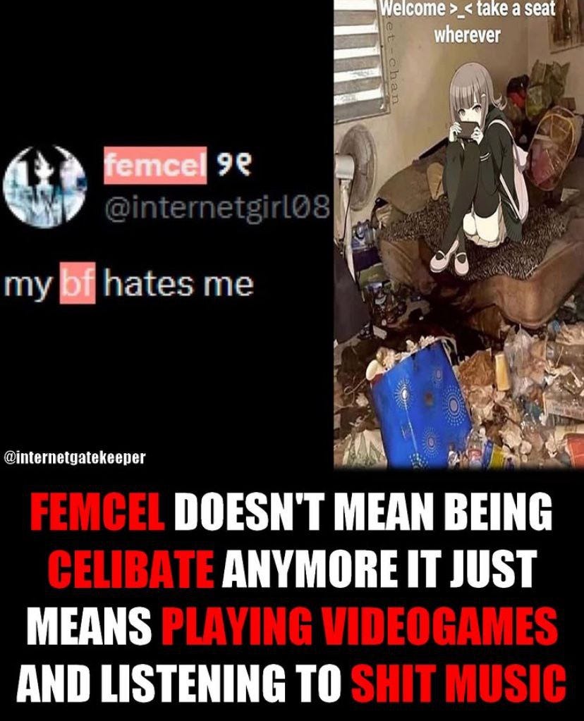 “FEMCEL DOESN’T MEAN BEING CELIBATE ANYMORE IT JUST MEANS PLAYING VIDEOGAMES AND LISTENING TO SHIT…