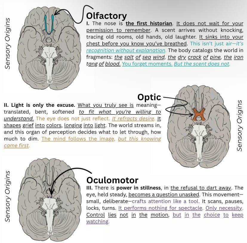 Silent Doctrine of the Twelve Cranial Nerves.