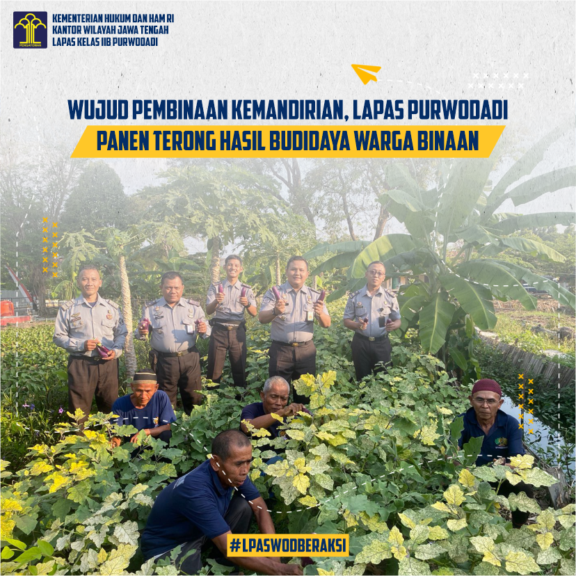 Wujud Pembinaan Kemandirian, Lapas Purwodadi Panen Terong Hasil Budidaya Warga Binaan