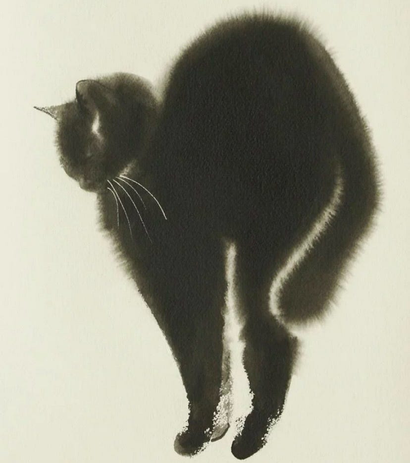 Schrödinger’s Cat: How Pop Culture Twisted a Science Joke into a Fact