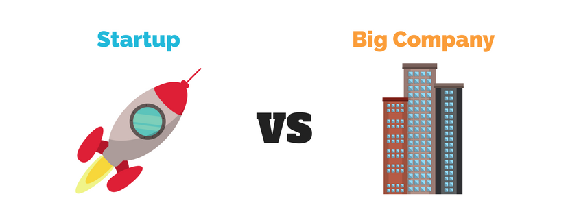 Working in a Small Startup vs. Big Company | by Volodymyr Zastavnyy