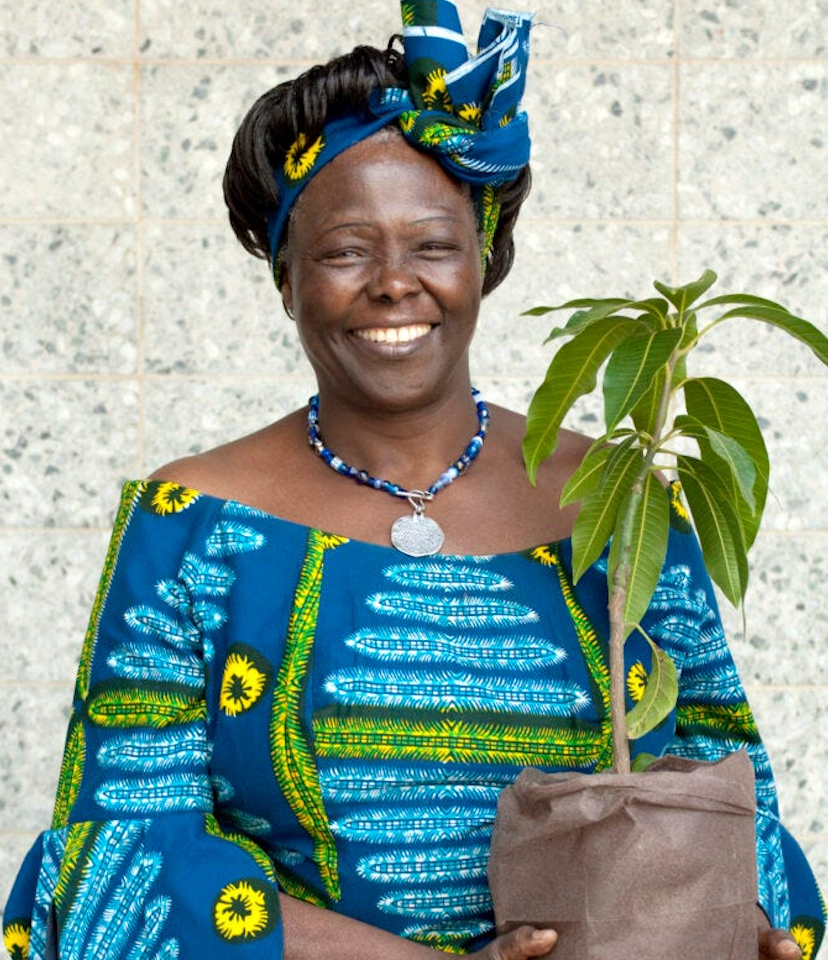 The Woman Who Planted 30 Million Trees: Meet Africa's First Female Nobel Laureate