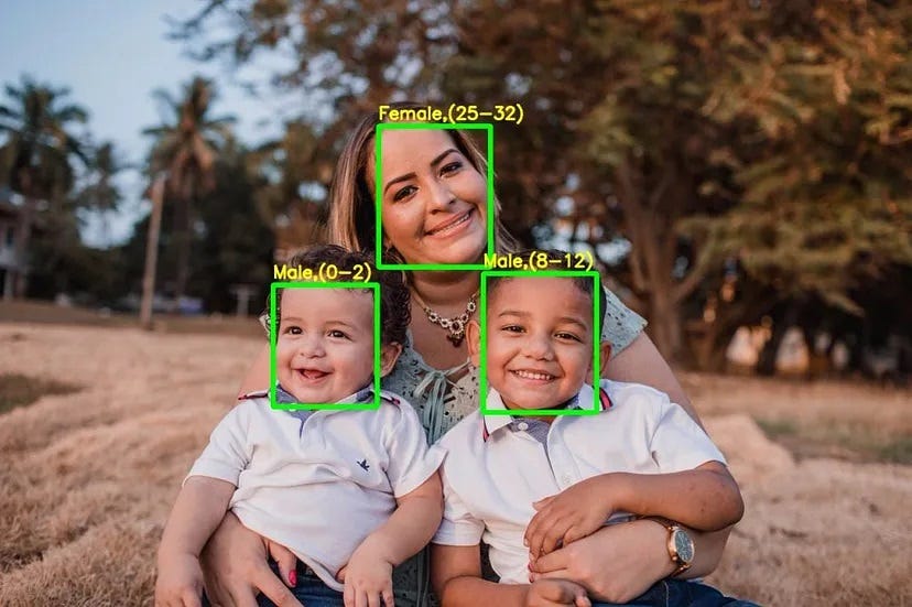 Age, Gender, and Emotion Prediction Using OpenCV | by Haythem Smirani ...