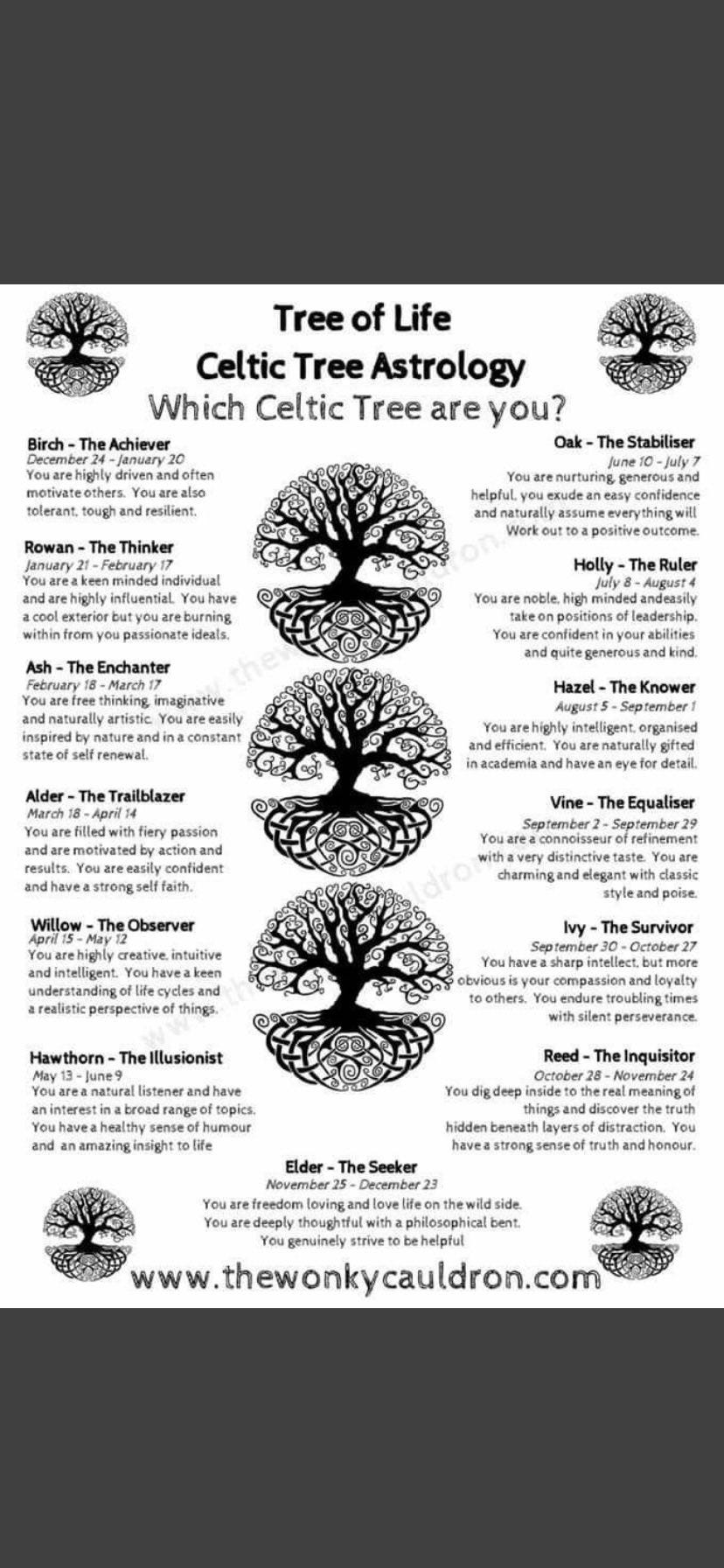 Tree Of Life A Reflection On Spiritual By Rastar Thirteen El Bey   1*ygZ8DH8hgMhyupIplvsYNw 