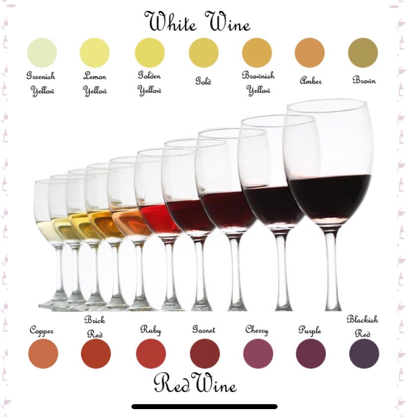 Discover All the Different Types of Red Wine