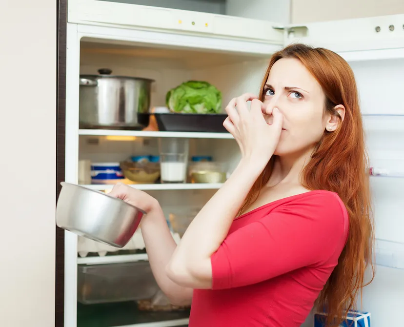 Subzero Appliance Repair Orange County