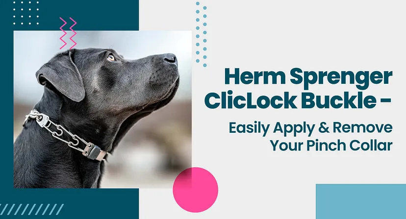 Herm Sprenger ClicLock Buckle - Easily Apply & Remove Your Pinch Collar