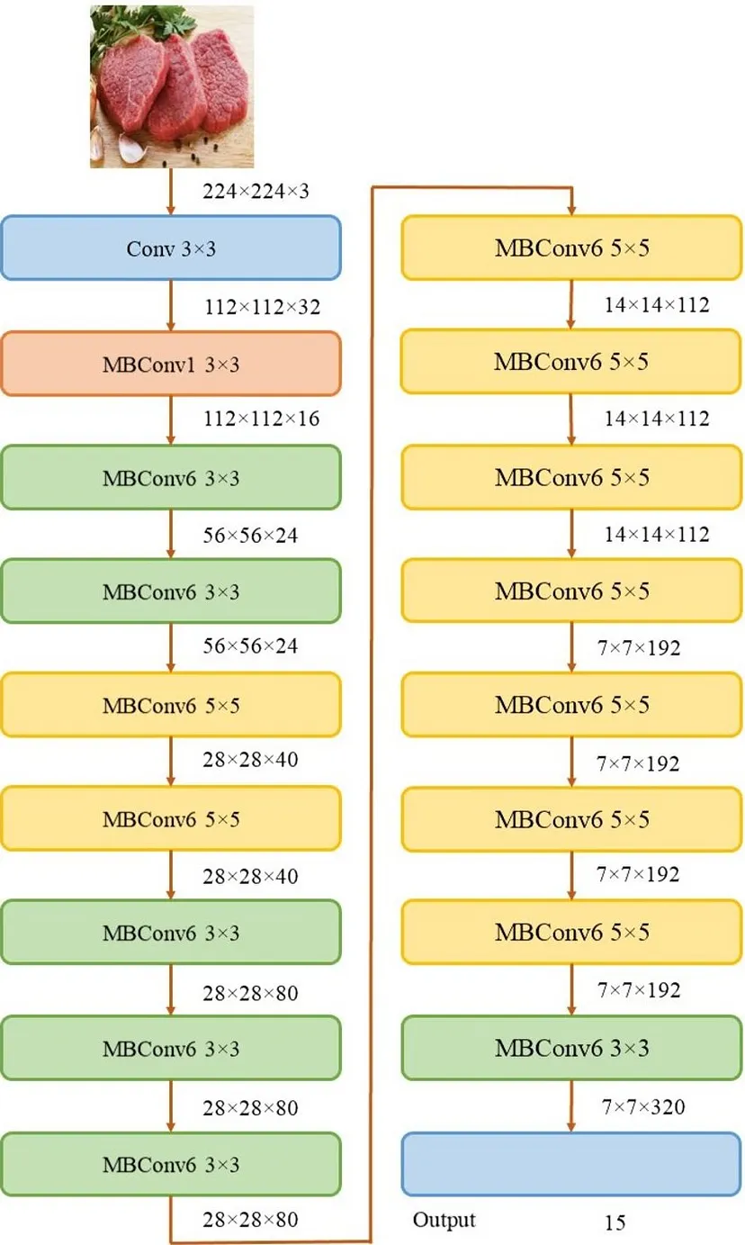Sports Classification