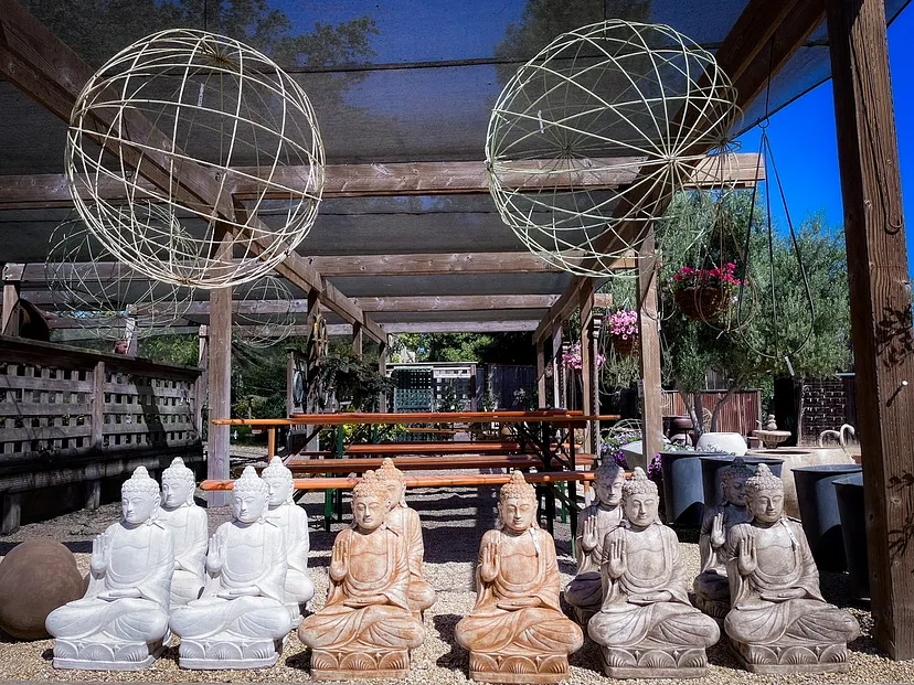 Buddha meditating under balls. Petaluma, California. Photo by author.