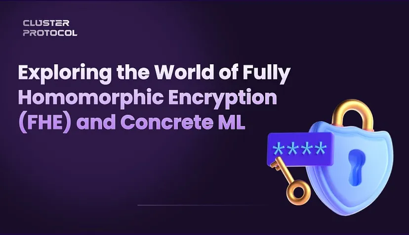 Exploring the World of Fully Homomorphic Encryption (FHE) and Concrete ML: A Step Towards Privacy-Preserving Machine Learning