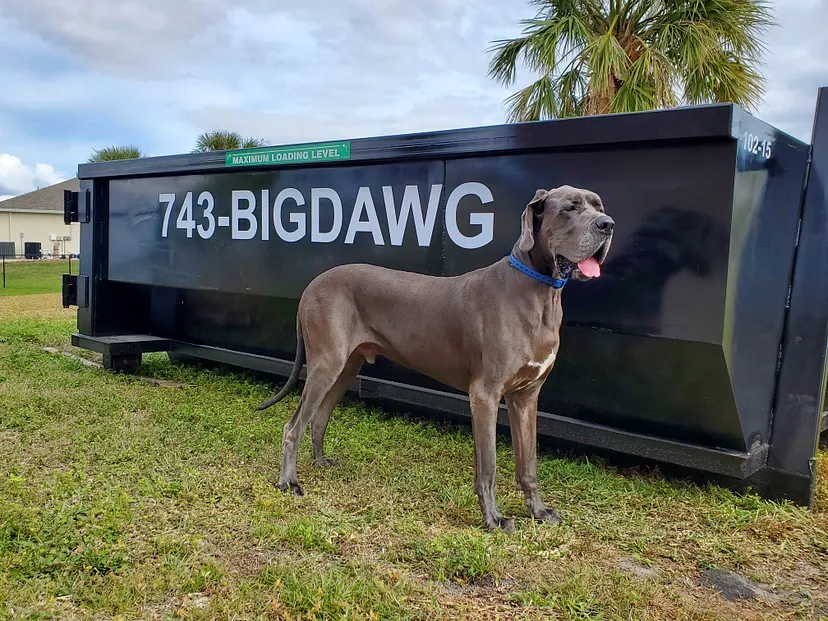 Big Dawg Dumpsters Sarasota Dumpster Rental