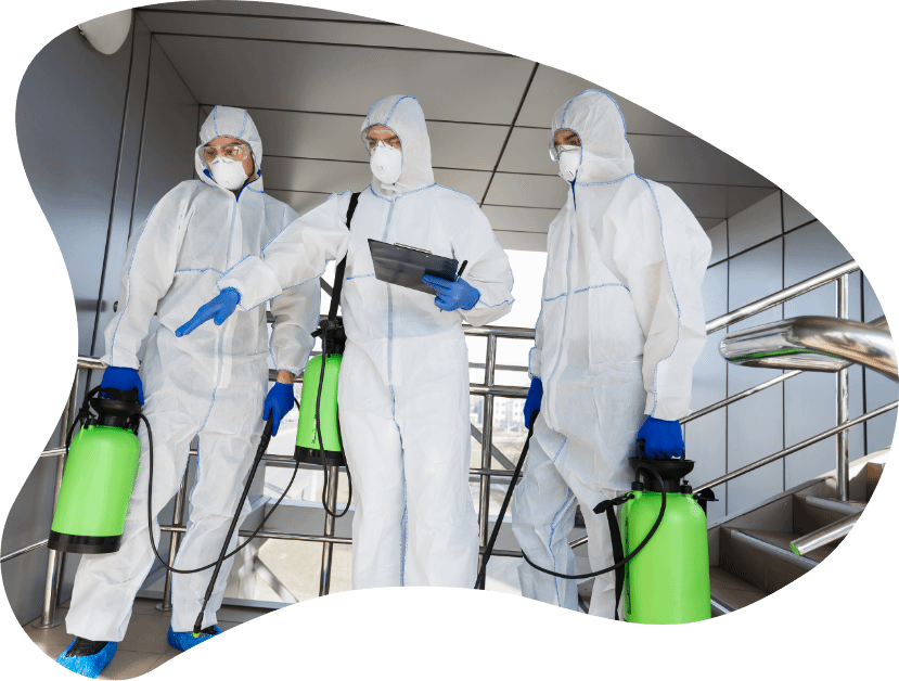 Deep Cleaning Services Jaipur kleaning Bee Medium