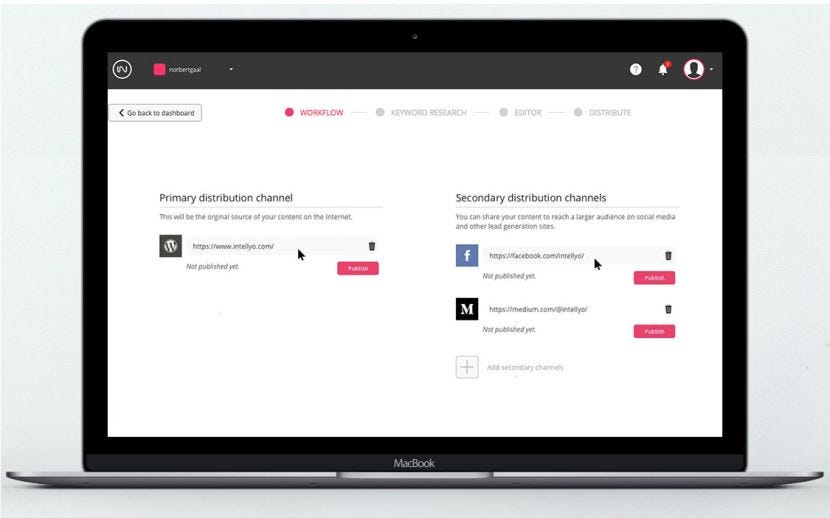 Manage Multiple WordPress Blogs and Articles on one Platform: the ...