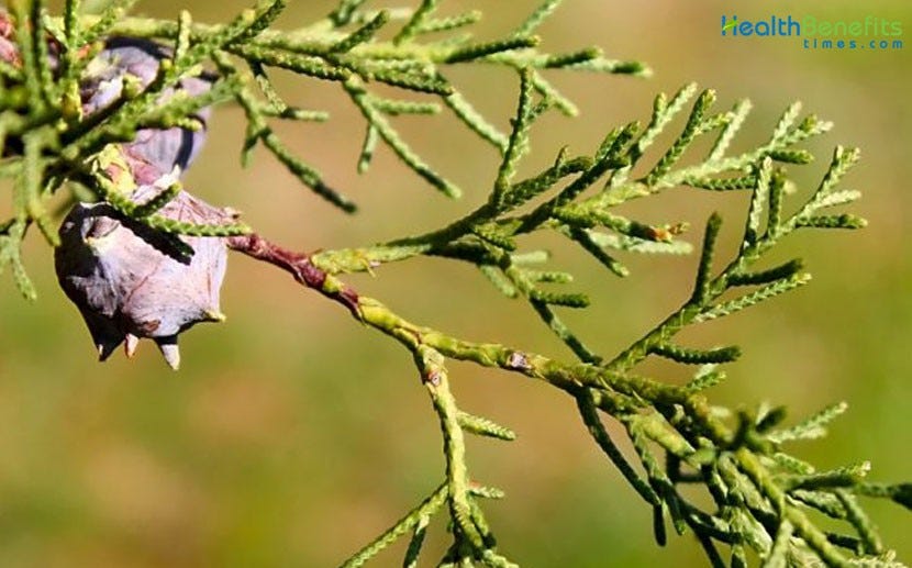 Streamlining the Testing Process with Cypress, Cucumber Integration in