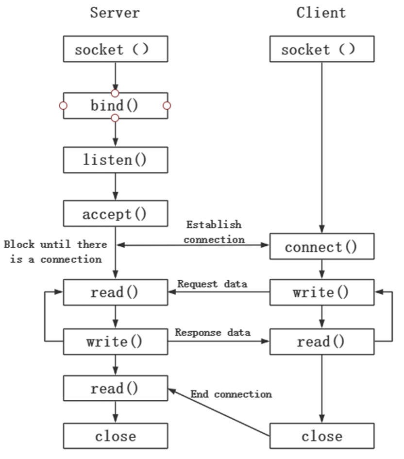 Sockets Demystified: The Basics Every Developer Should Know | by ...