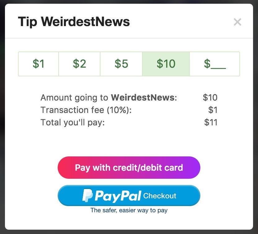 New! Your fans can now tip you with PayPal | by Ryan Duffy | Vidme | Medium