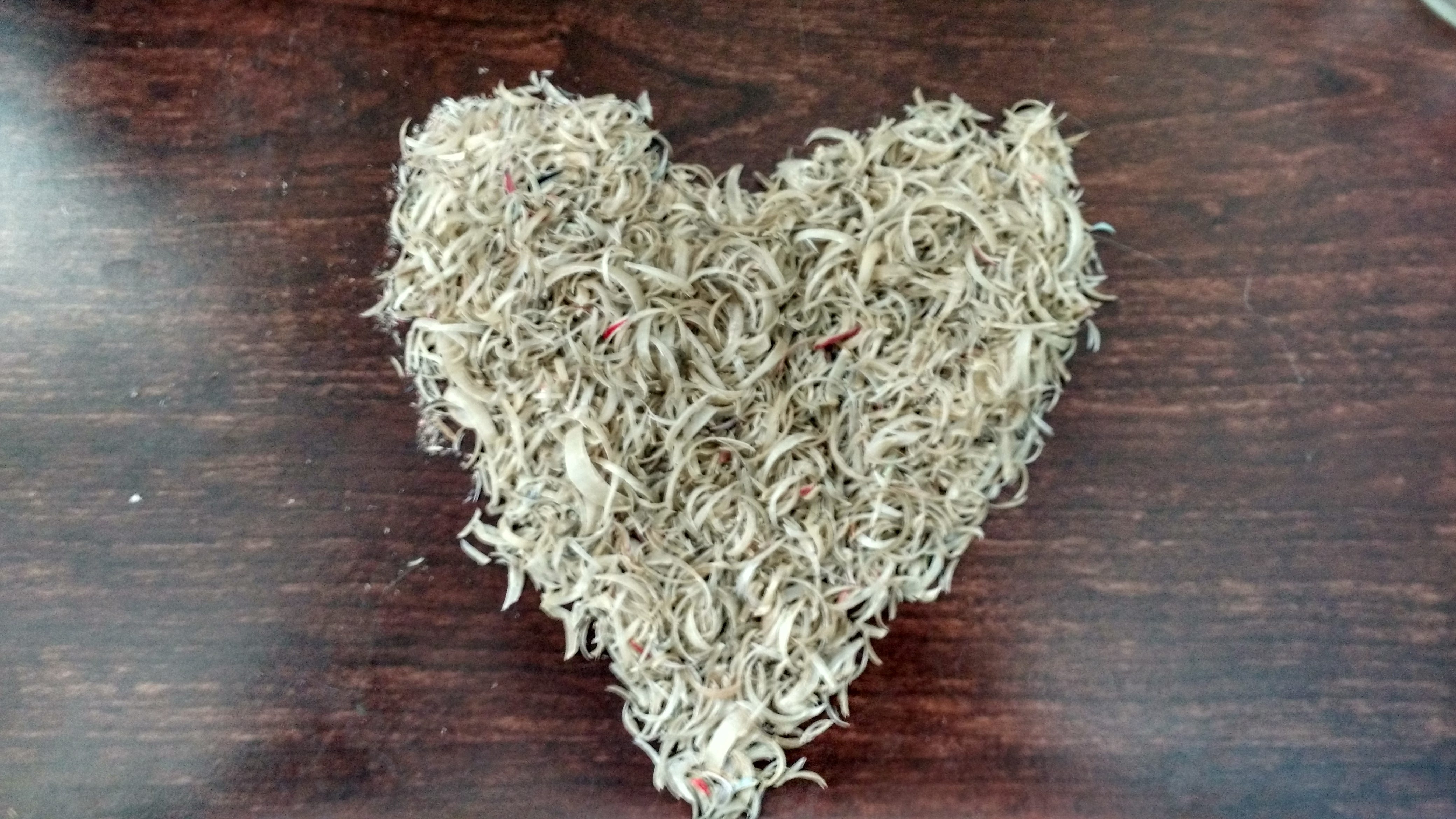 Why I Kept My Nail Clippings in a Jar for 5 Years | by Marc V. Calderaro |  Medium
