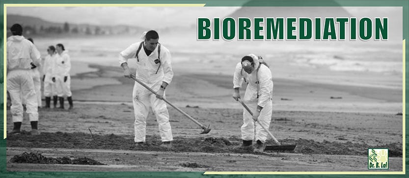 Biotechnology — A Pathway To Bioremediation | By Dr. B. Lal Institute ...