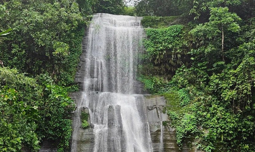 Explore the Green Paradise of Bangladesh: Srimangal & Sylhet Tour Package