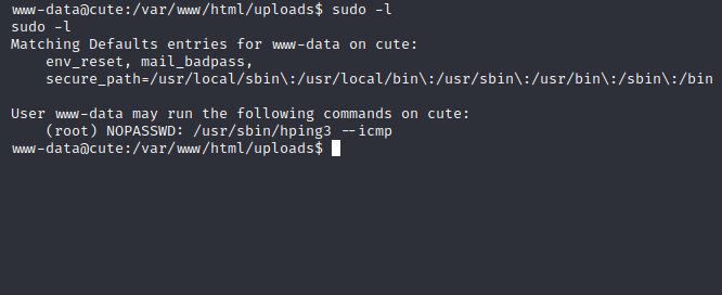 sudo -l