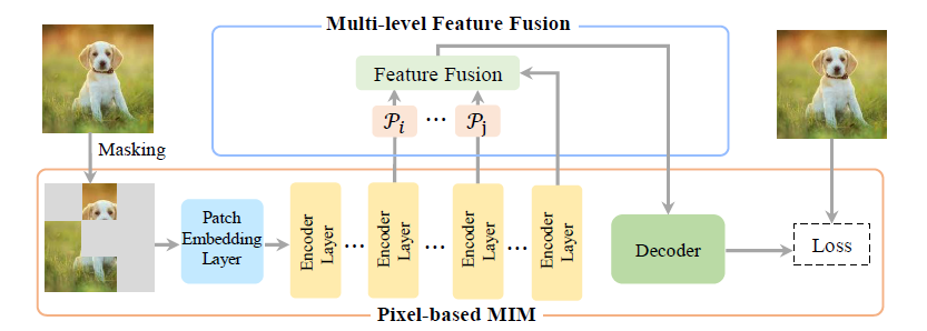 Streamlining Masked Image Modeling: Effective Strategies for Reducing ...