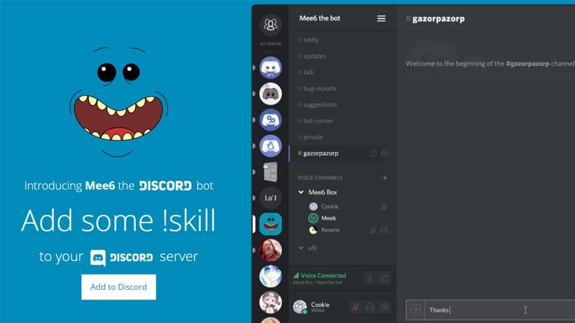 How to set-up a Discord Custom Bot : MEE6