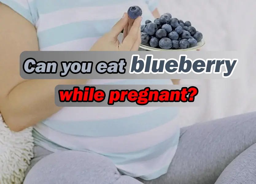 Are Blueberries good for Pregnancy? by Hipregnancy Medium
