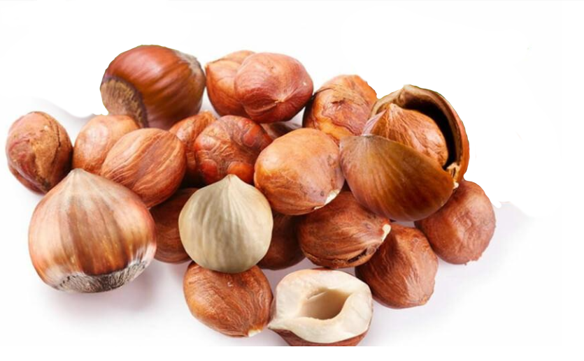 HAZELNUT KEYNELS Hazelnut Store Medium