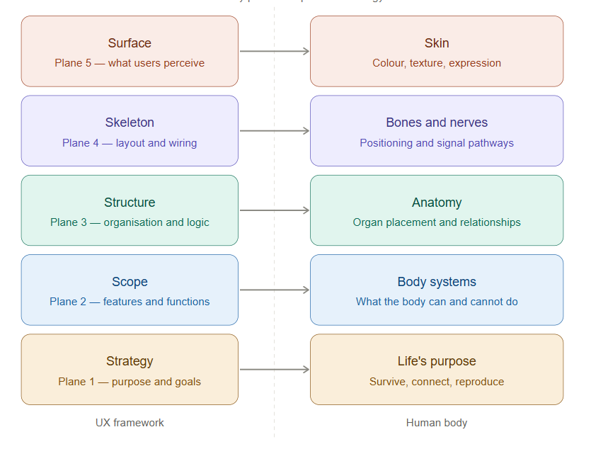 “God Was the First UX Designer: The 5 Planes of User Experience ...