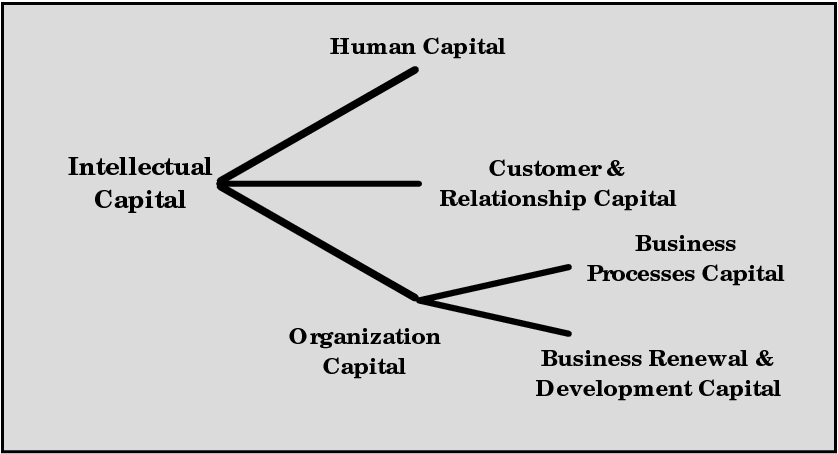Figure 4: Five main categories of intellectual capital