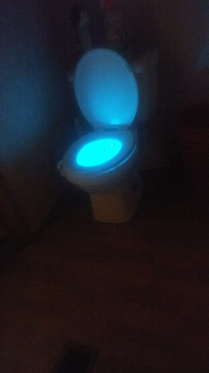 A Glow in The Dark Toilet Seat!. It's the small things in life that make…, by Michelle Monet, Life's Funny