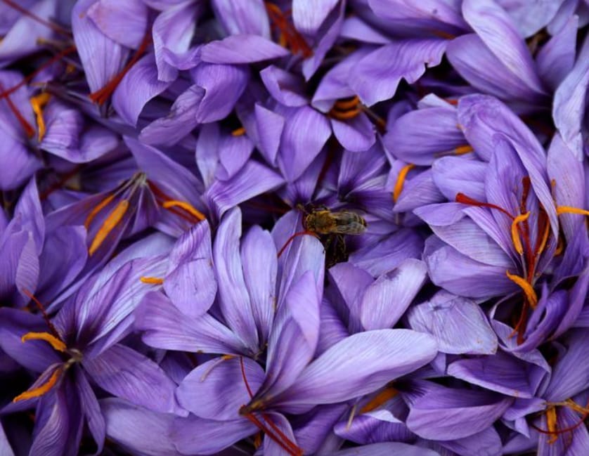 Benefits of Saffron for Skin Saffronbased skincare has many benefits