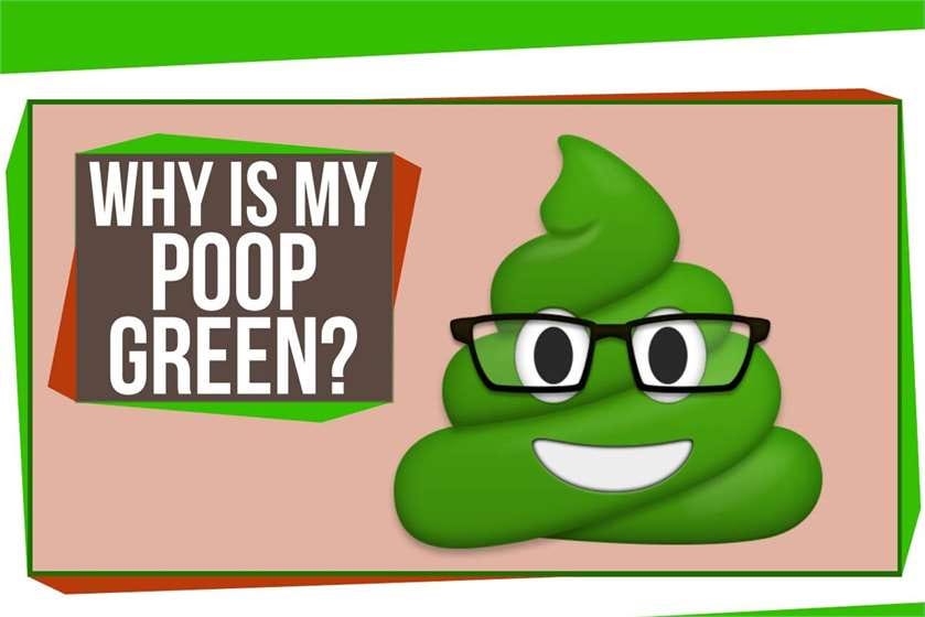 What causes Green Poop?. As bad as the word sounds, pooping is a… by