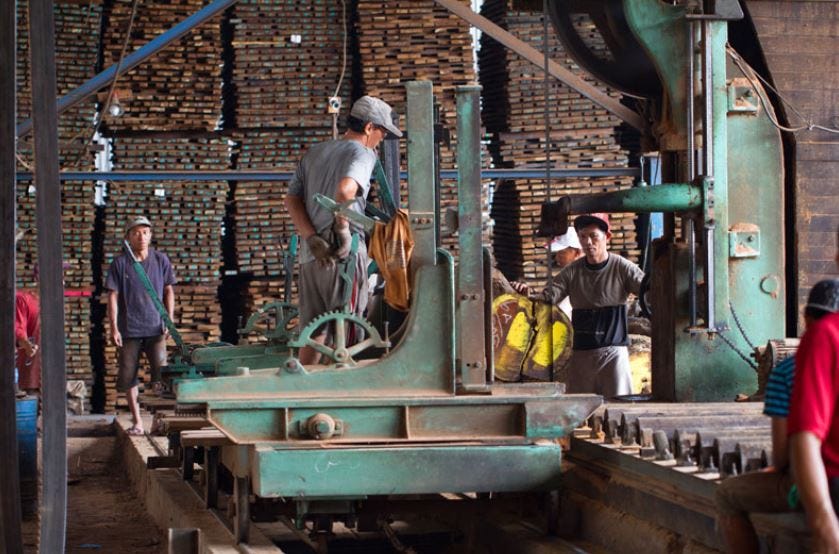 Step-by-step Merbau Decking Manufacturing Process