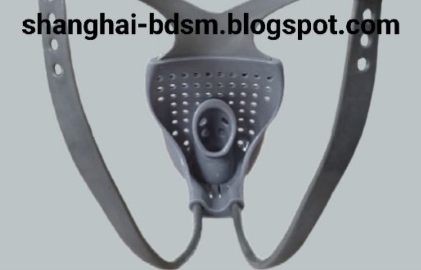 My Japanese Slave’s Total Surrender: 3 Years Locked for My Permanent Brand