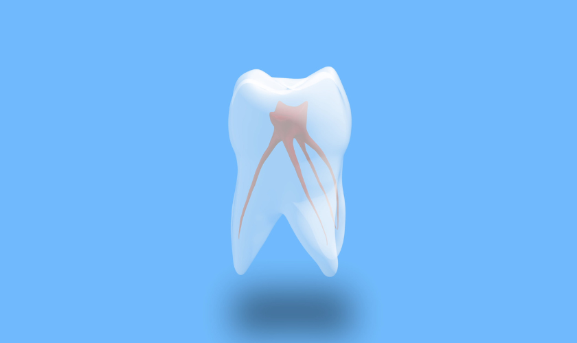 Common Endodontic Procedures Explained Root Canals, Apicoectomy, and