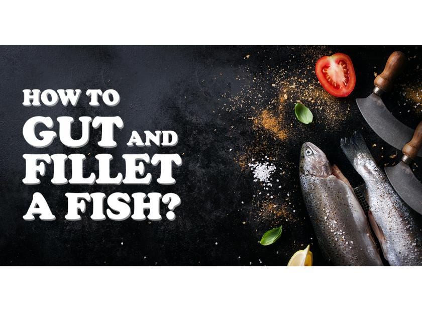 How to gut and fillet a fish?. Fish is one of the most balanced