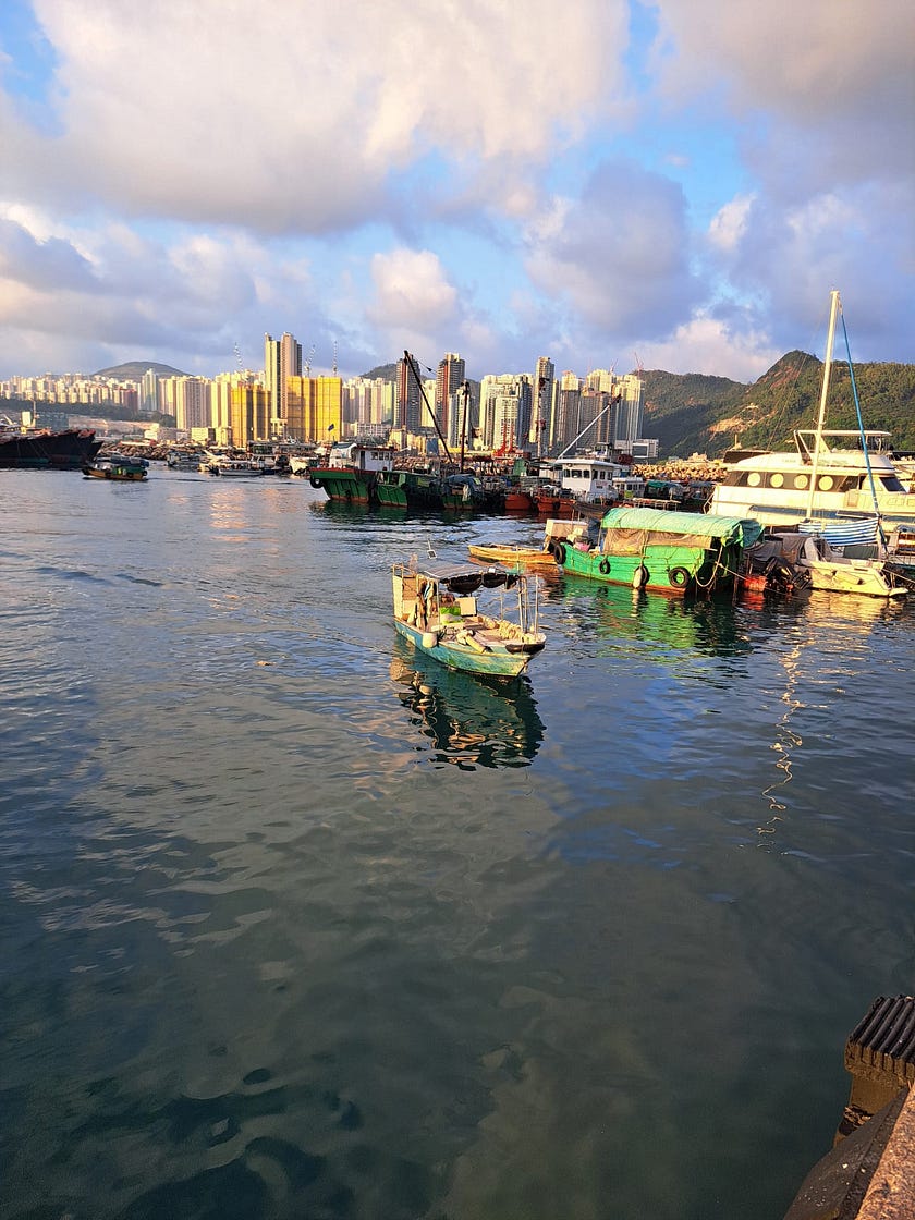 追捕紅鮋大長夜