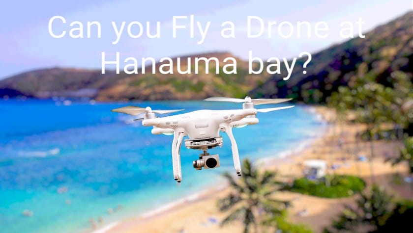 Can you Fly a Drone at Hanauma Bay Droneguider Medium