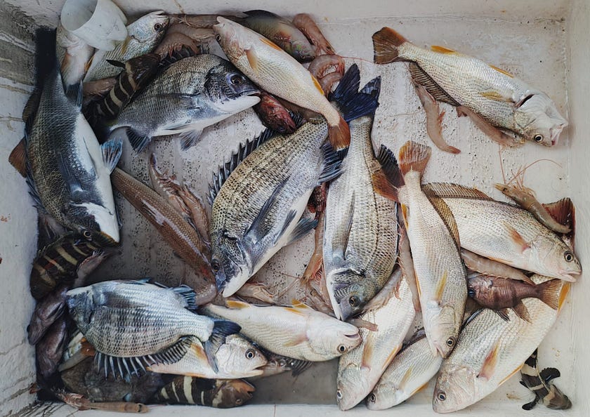 避走蒲台釣交倚