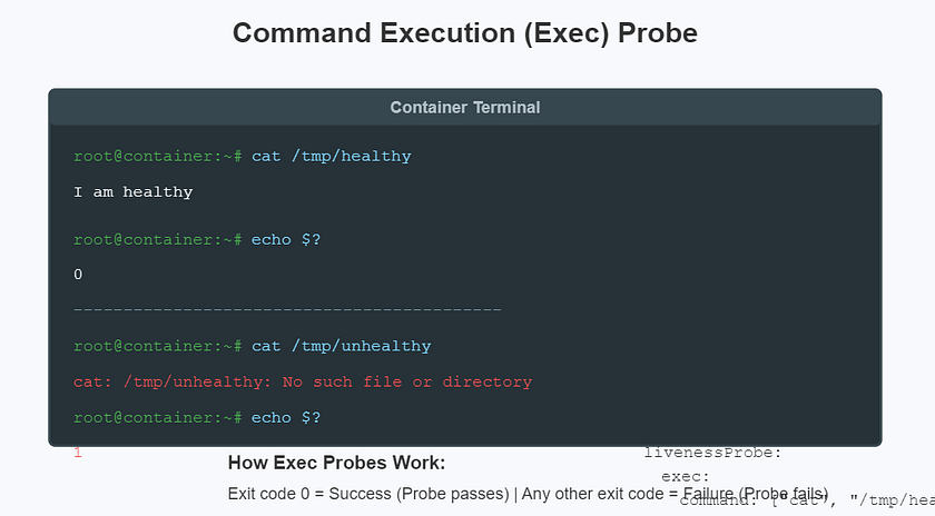 Exec 命令探针