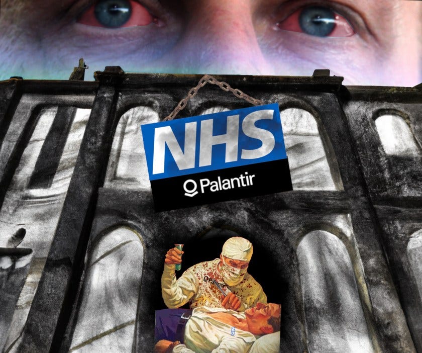 Doctors’ union may yet save the NHS from Palantir