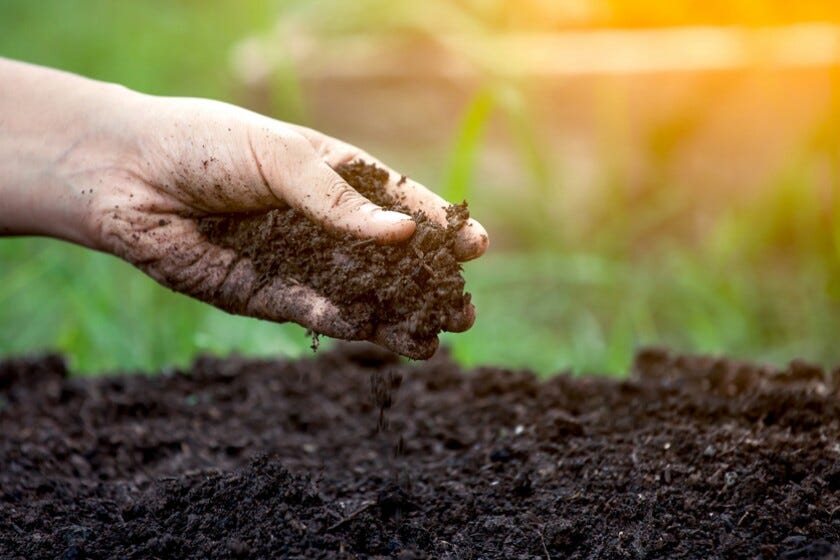 Best Soil Testing Edmonton. The quality of the soil on your site… by
